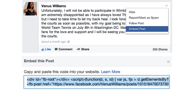 Post Facebook incorporati EMBEDDED